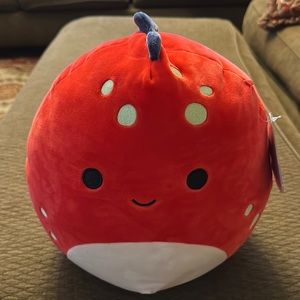 NWT Original Squishmallows “Dolan”